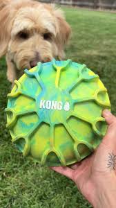 KONG: Flexball Sport Ball (XL)