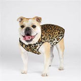 Goldpaw: DOG STRETCH FLEECE | Leopard