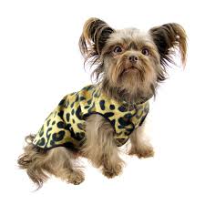 Goldpaw: DOG STRETCH FLEECE | Leopard