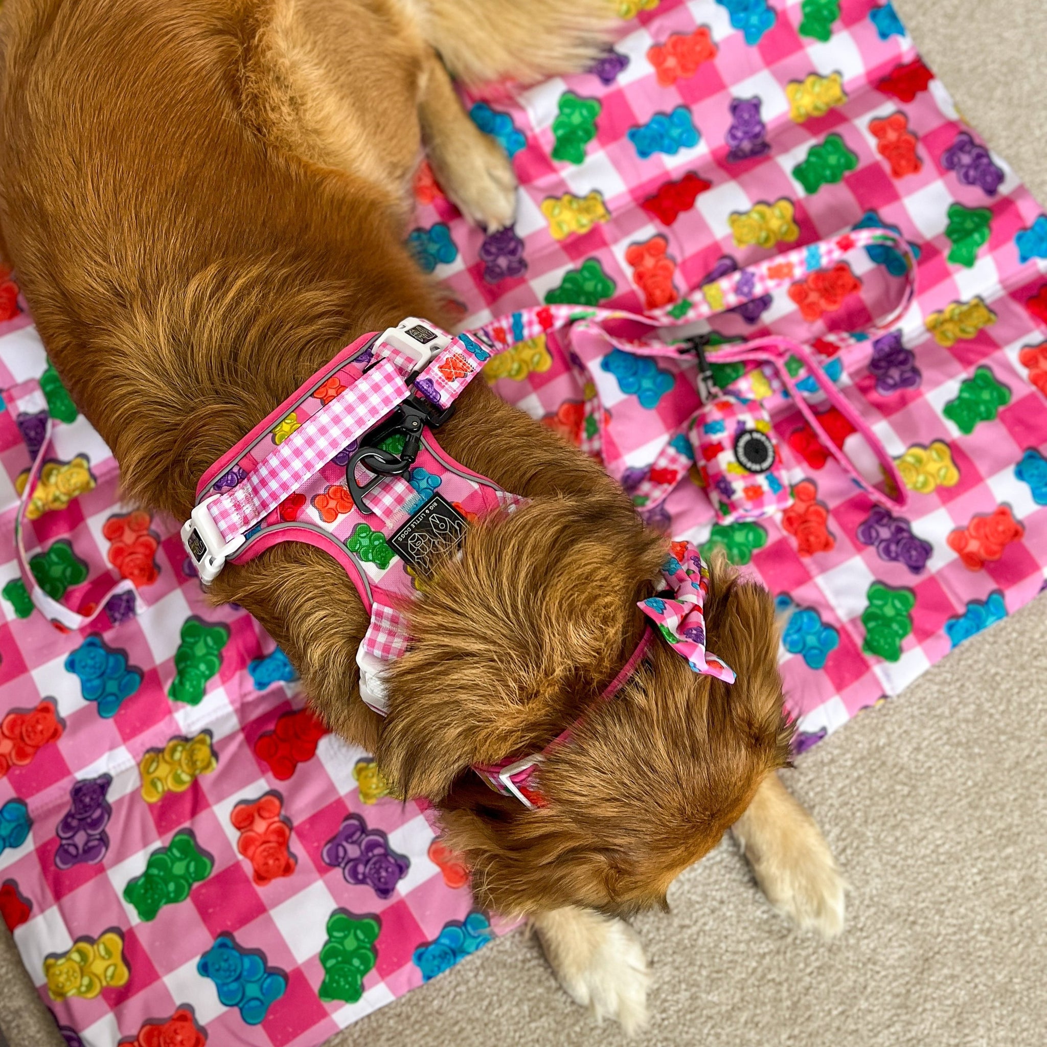 ON-THE-GO PET MAT: Beary Sweet (NEW!)