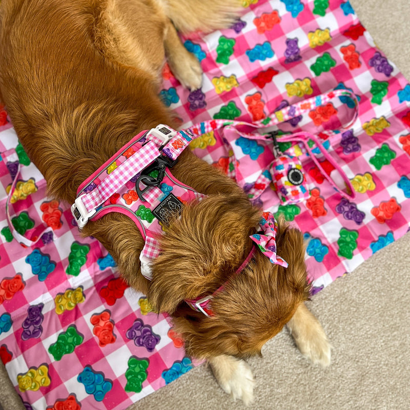 ON-THE-GO PET MAT: Beary Sweet/Rainbow Gingham (NEW!)