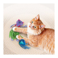 KONG (CAT): Tropics Hula 2-pk