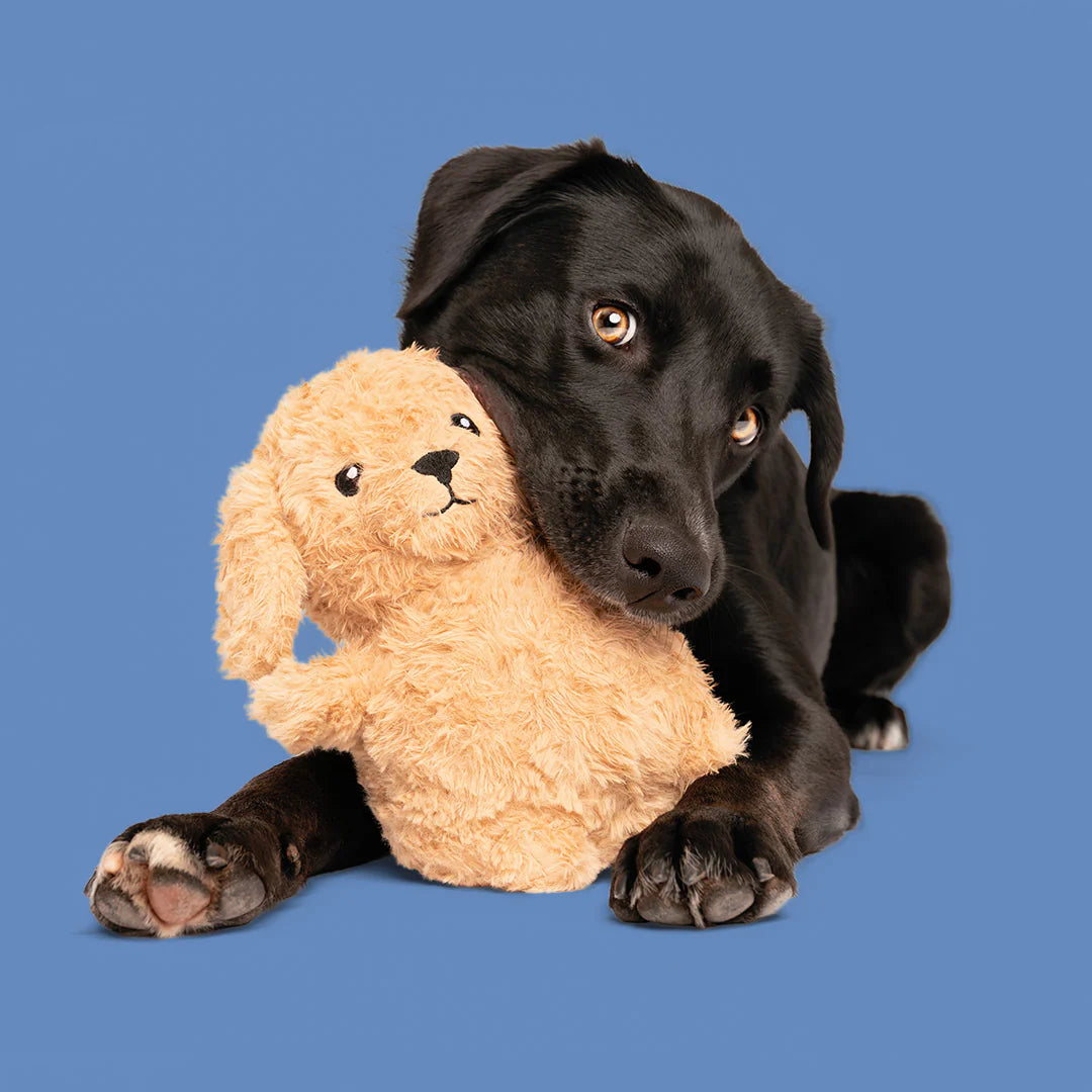 Giftable World: 8" Mimi the Oodle with Squeaker Ball