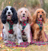 THE ALL-ROUNDER DOG HARNESS: Festive Tartan {FINAL SALE}