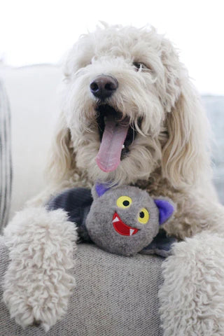 Patchworkpet: Pricklet Ball - Bat