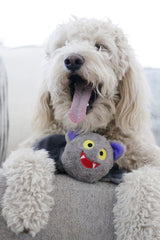 Patchworkpet: Pricklet Ball - Bat