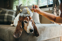 P.L.A.Y: Mutt Hatter  - Viking Hat