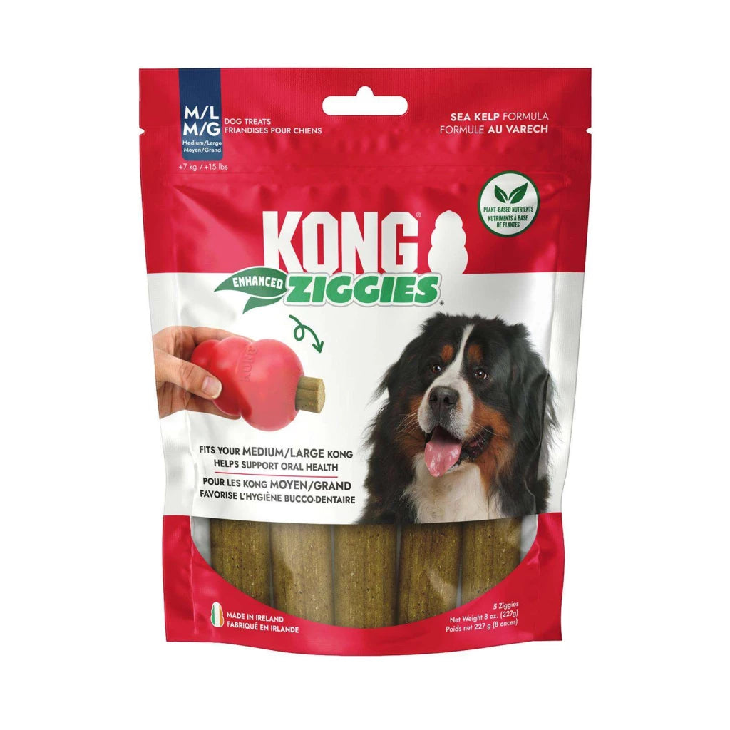 KONG: Ziggies Enhanced Dental Treats - Large