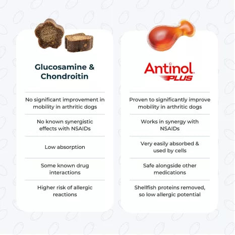 Antinol Plus Dog 60 Capsule Pouch
