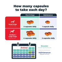Antinol Plus Dog 60 Capsule Pouch