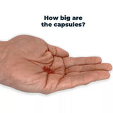 Antinol Plus Dog 60 Capsule Pouch