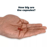 Antinol Plus Dog 60 Capsule Pouch