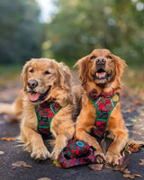 THE ALL-ROUNDER DOG HARNESS: Festive Tartan (NEW!)