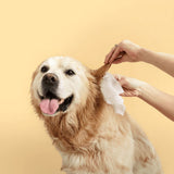 Squeaky Pet: Probiotic Pet Ear Wipes