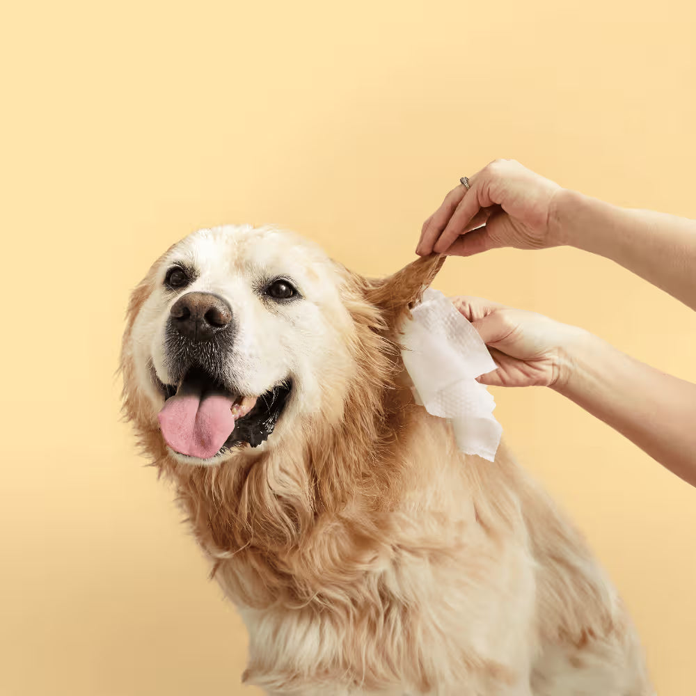 Squeaky Pet: Probiotic Pet Ear Wipes