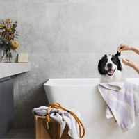 Squeaky Pet: Probiotic Pet Ear Wipes