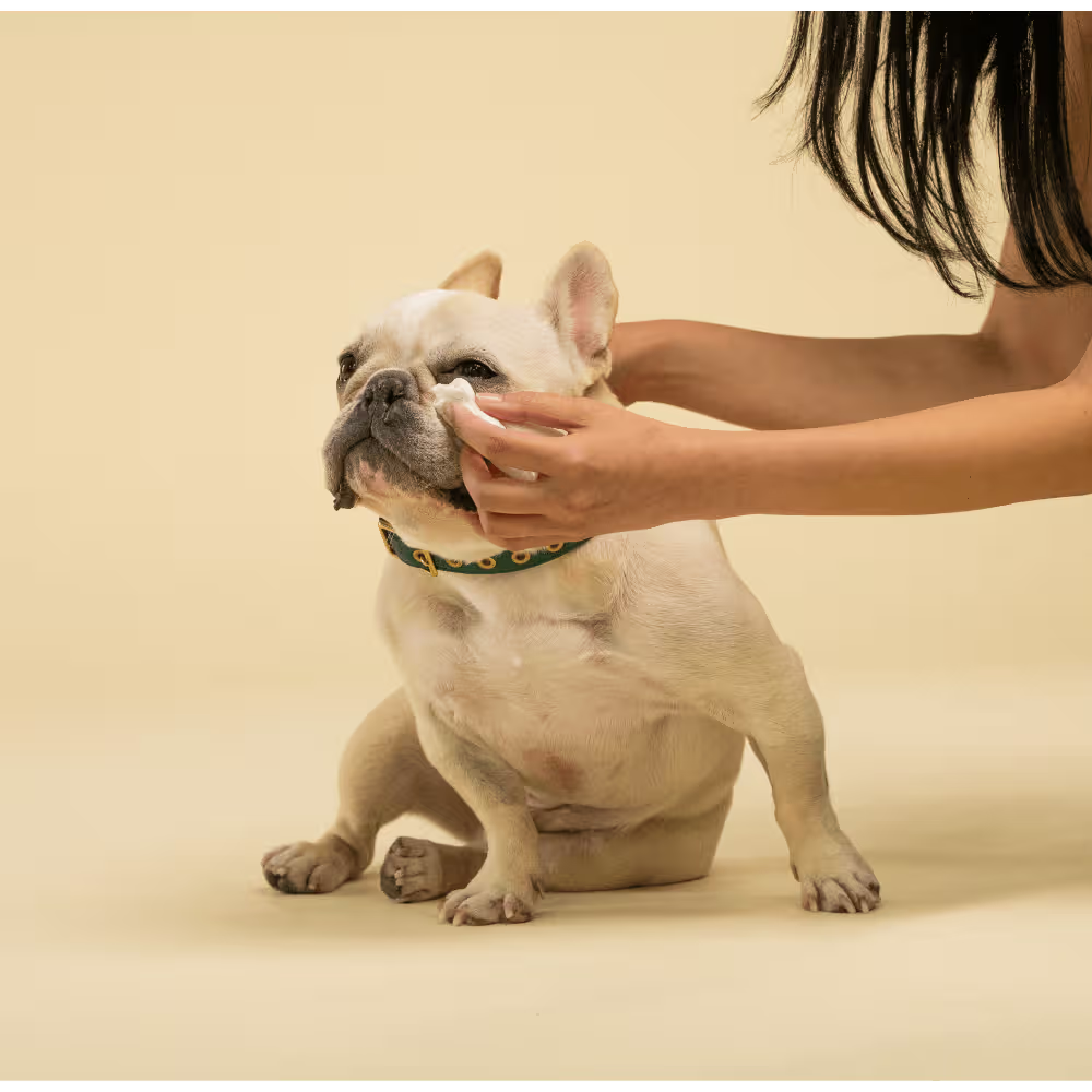 Squeaky Pet: Probiotic Pet Eye Wipes