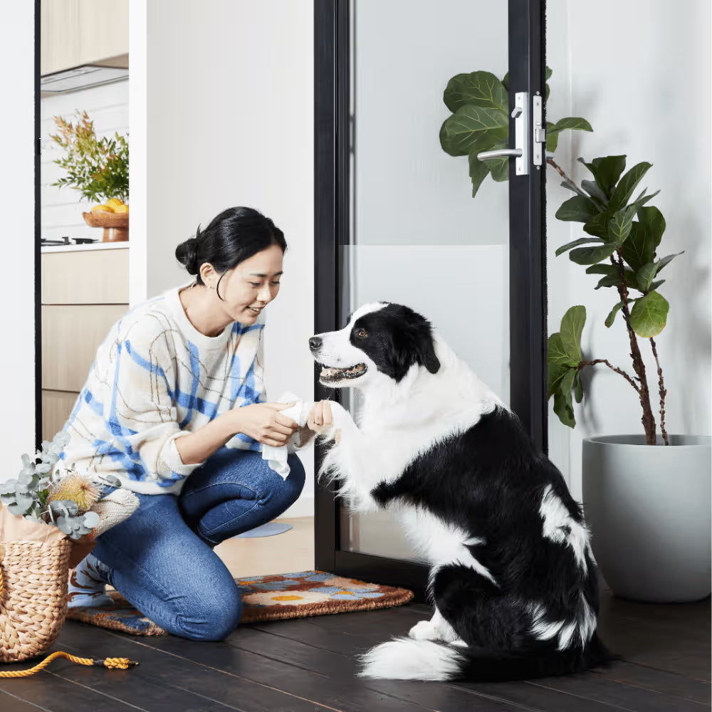 Squeaky Pet: Probiotic Pet Wipes