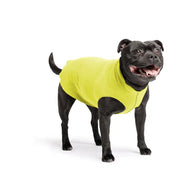 DOG STRETCH FLEECE | Goldpaw: Avocado