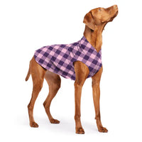 DOG STRETCH FLEECE | Goldpaw: Rose Buffalo Check