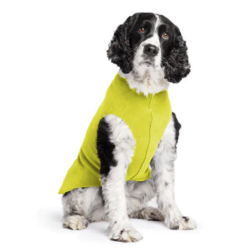 DOG STRETCH FLEECE | Goldpaw: Avocado