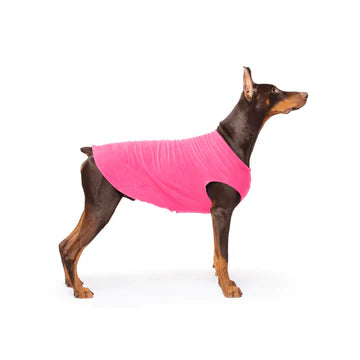 DOG STRETCH FLEECE | Goldpaw: Fluro Pink