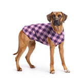 DOG STRETCH FLEECE | Goldpaw: Rose Buffalo Check