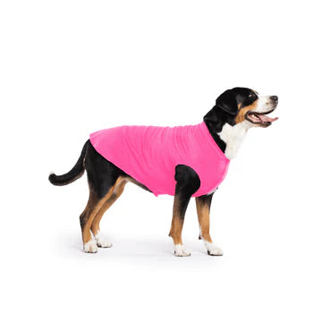 DOG STRETCH FLEECE | Goldpaw: Fluro Pink
