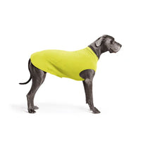 DOG STRETCH FLEECE | Goldpaw: Avocado