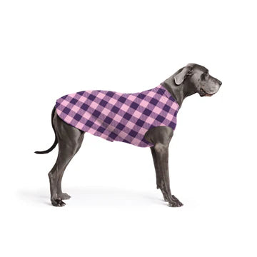 DOG STRETCH FLEECE | Goldpaw: Rose Buffalo Check