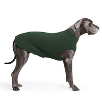 Goldpaw: DOG STRETCH FLEECE | Hunter Green