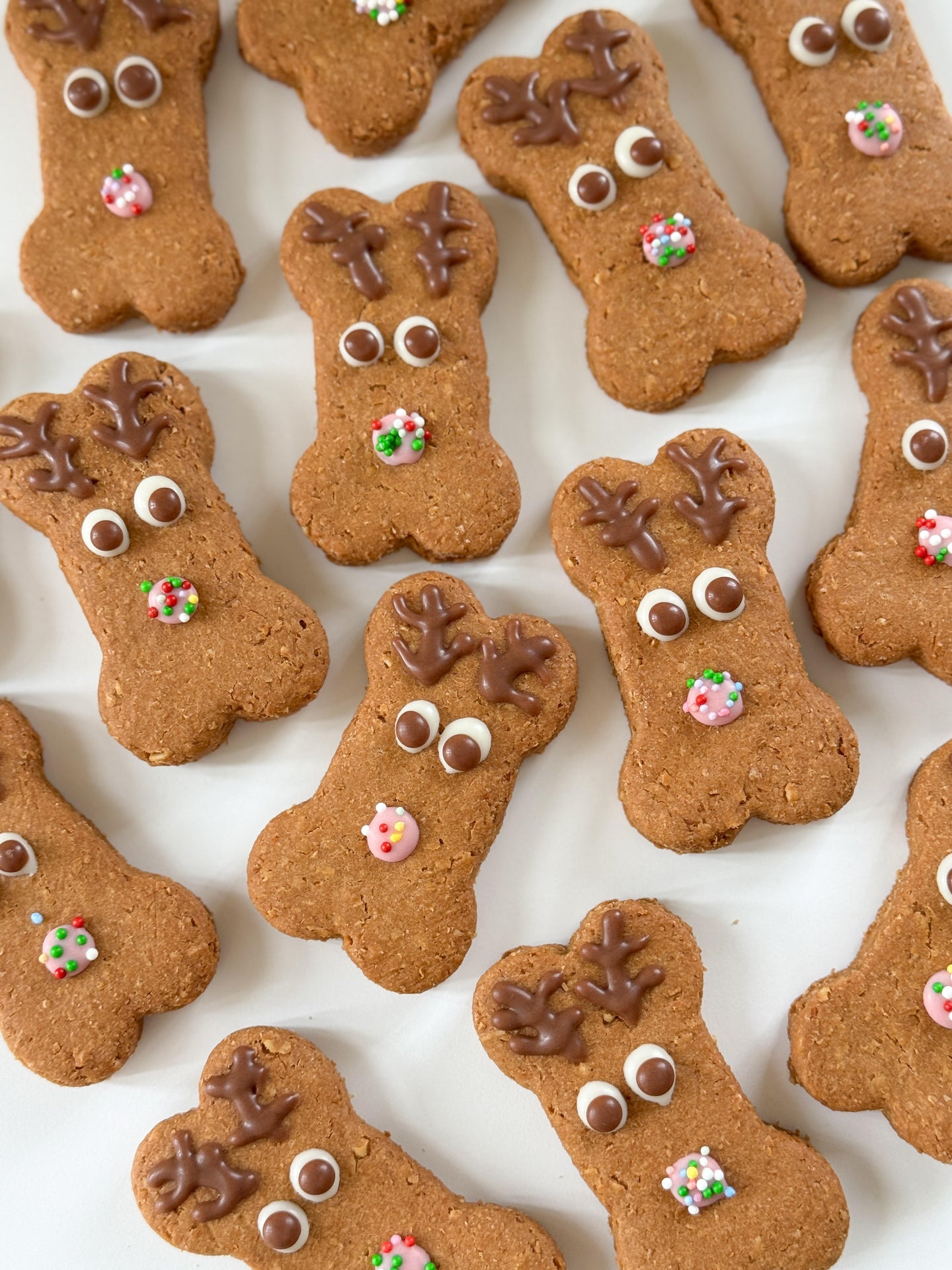 DOG TREATS | The Organic Dog Co: XL Christmas Reindeer Bone