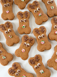 DOG TREATS | The Organic Dog Co: XL Christmas Reindeer Bone