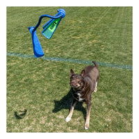 KONG: Whirlz Rope (Med/Large)