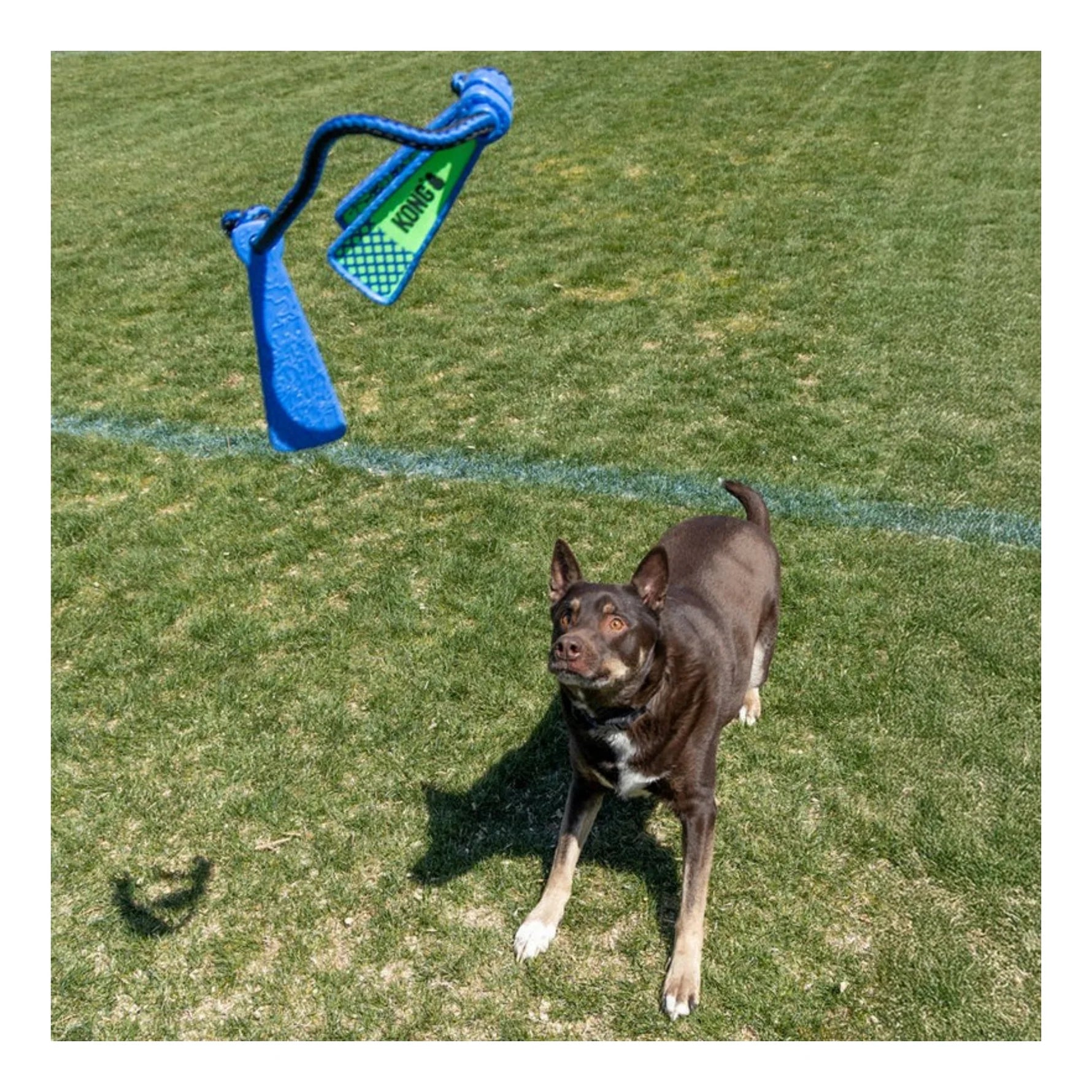 KONG: Whirlz Rope (Med/Large)