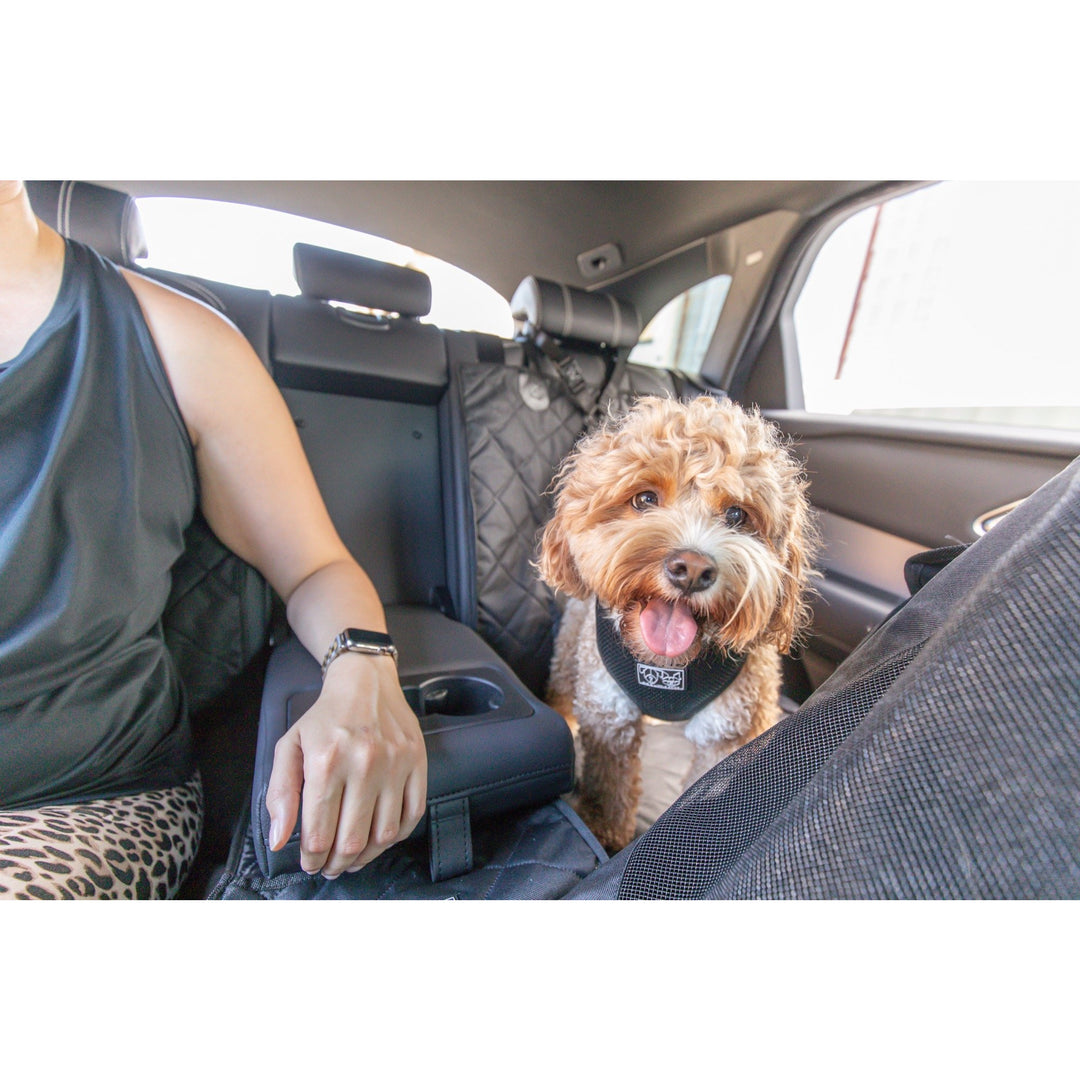 Big dog seat belt best sale