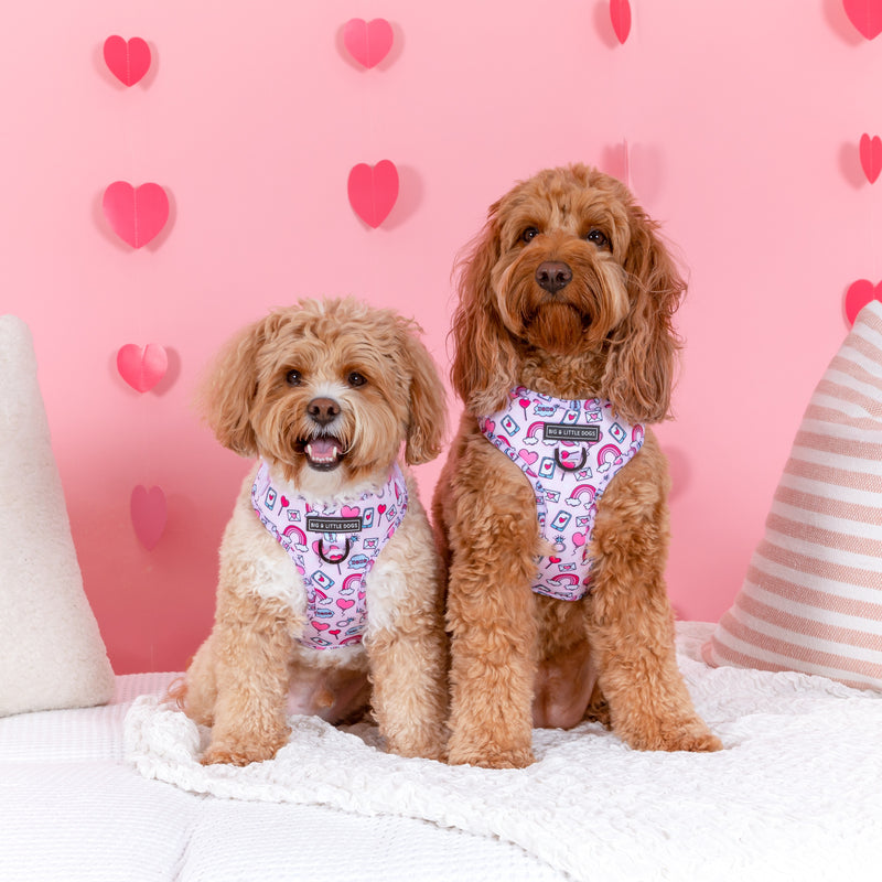 Adjustable Dog Harness Be Mine Valentines Day Hearts Love