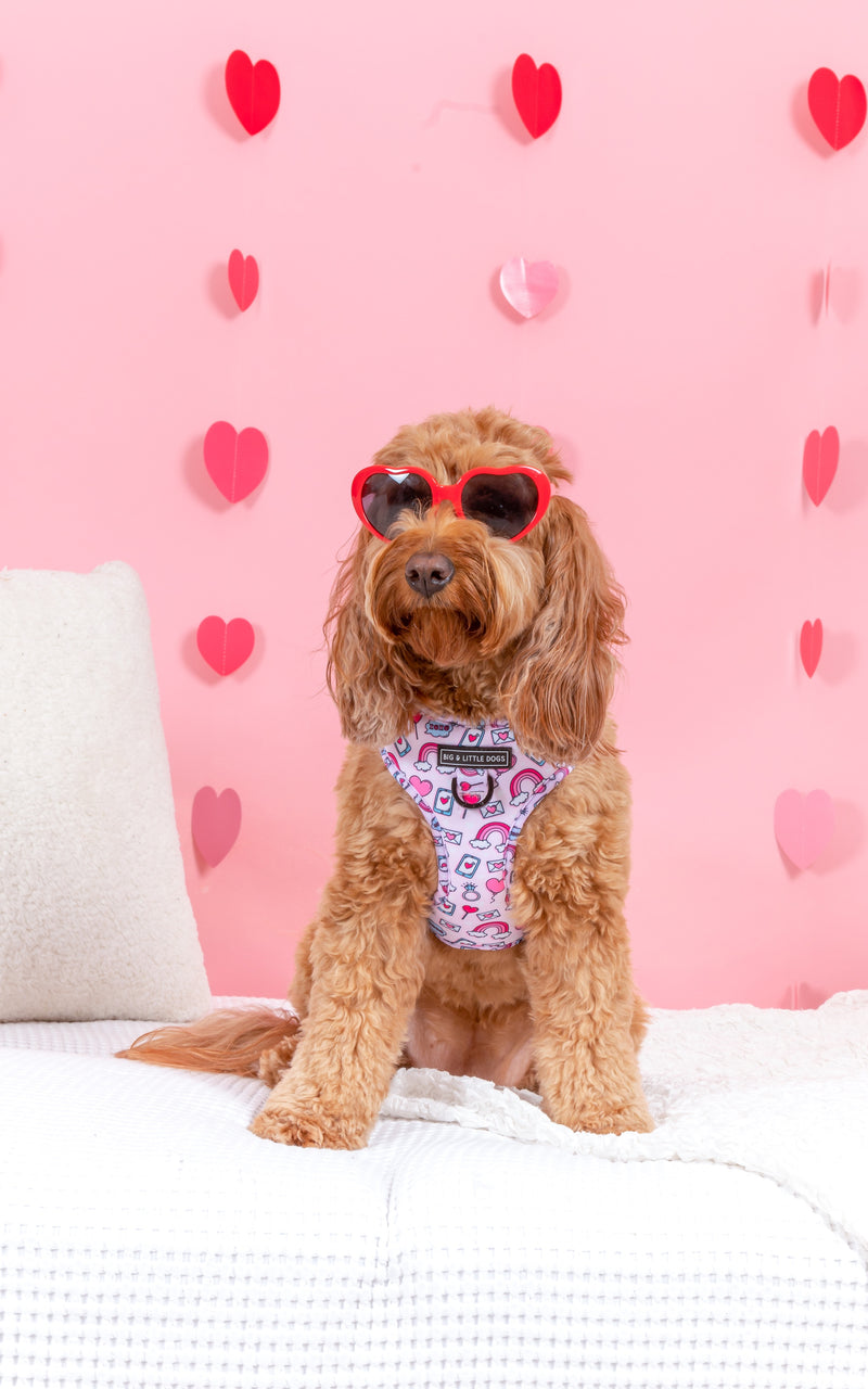 Adjustable Dog Harness Be Mine Valentines Day Hearts Love