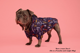 DOG RAINCOAT: Lightning Storm