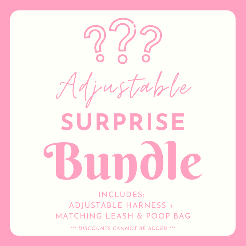 SURPRISE BUNDLE: Adjustable Harness + Leash + Poop Bag Holder (NON-RETURNABLE)