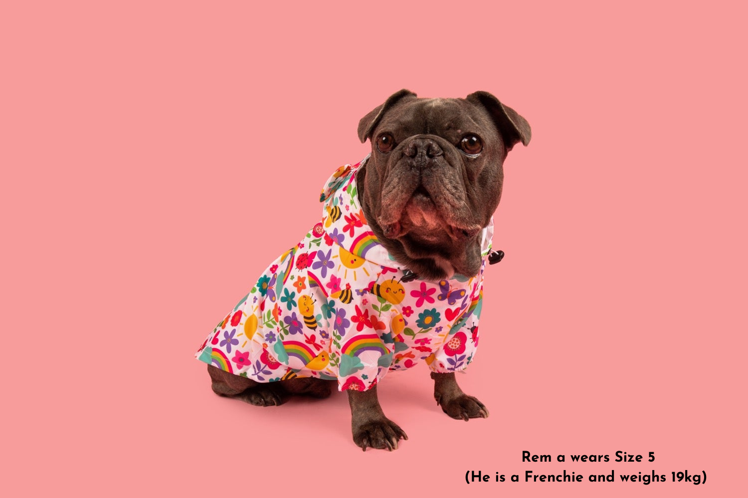 DOG RAINCOAT: Follow the Rainbow