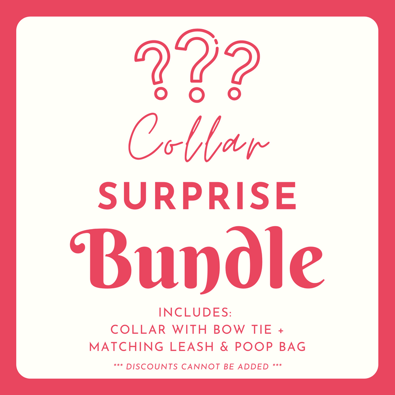 SURPRISE BUNDLE: Collar + Leash + Poop Bag Holder (NON-RETURNABLE)