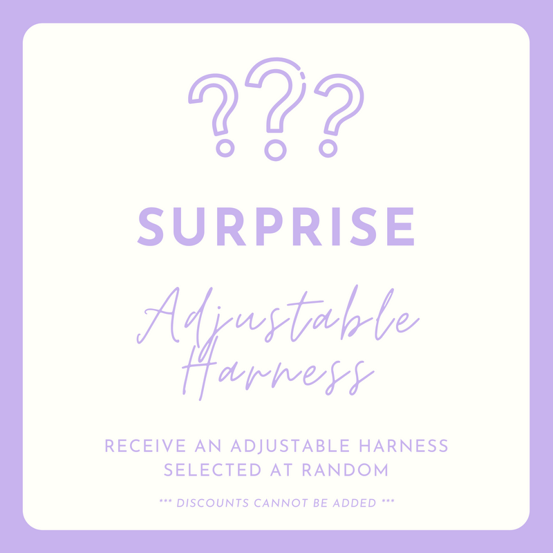 SURPRISE: Adjustable Harness (NON-RETURNABLE)