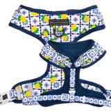 Adjustable Dog Harness Amalfi Coast Italy Lemons Tiles Front D-Ring