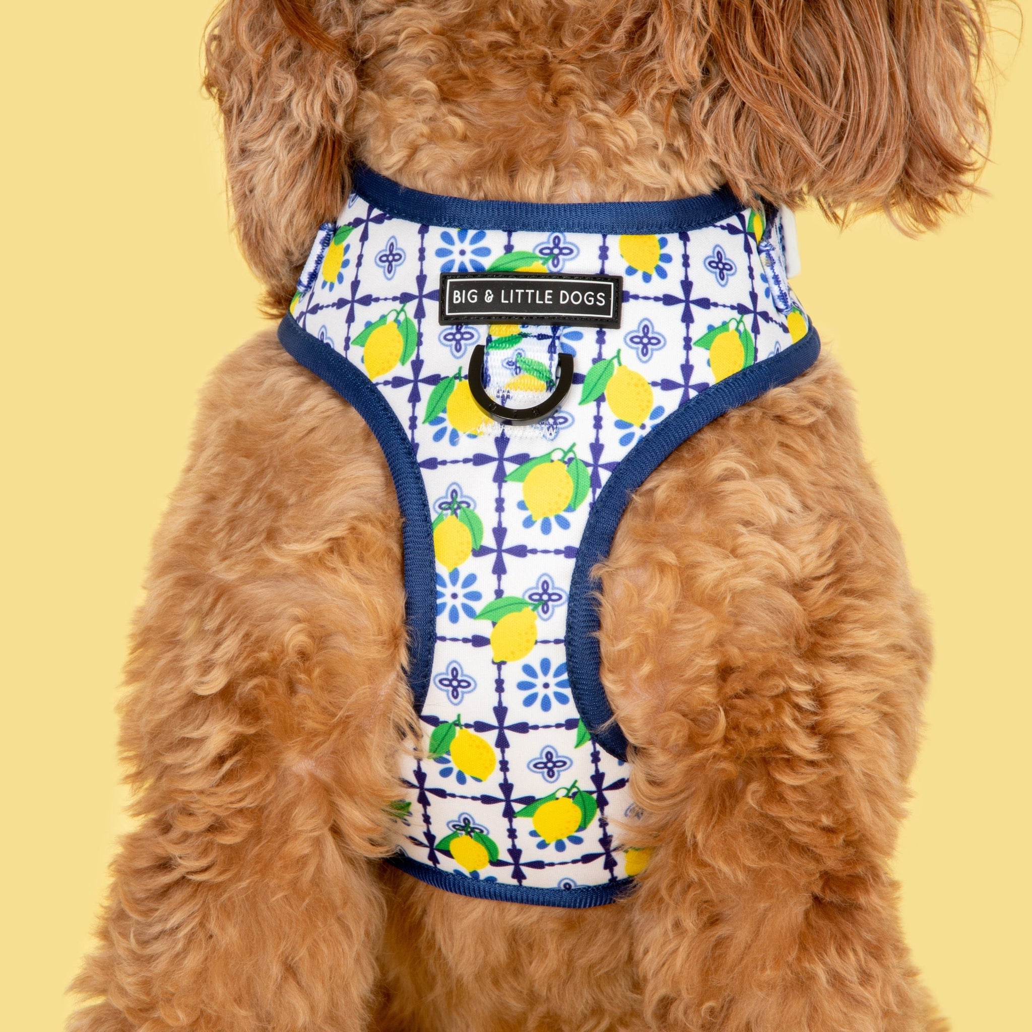 Adjustable Dog Harness Amalfi Coast Italy Lemons Tiles Front D-Ring