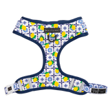 Adjustable Dog Harness Amalfi Coast Italy Lemons Tiles Front D-Ring