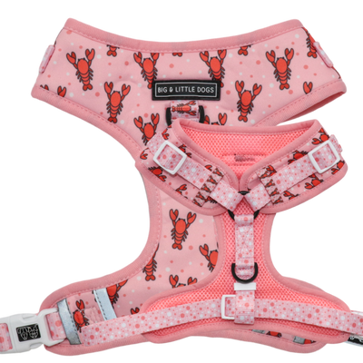 Adjustable Dog Harness Aw Snap Lobsters