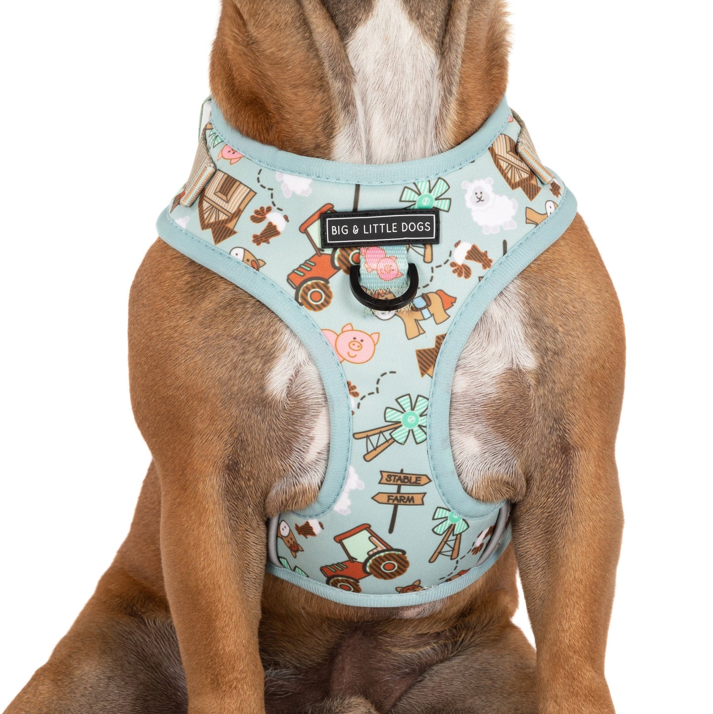 Adjustable Dog Harness Front D-Ring Barnyard Friends Animals Barn Farm Pig Tractor Windmill Stable Sheep