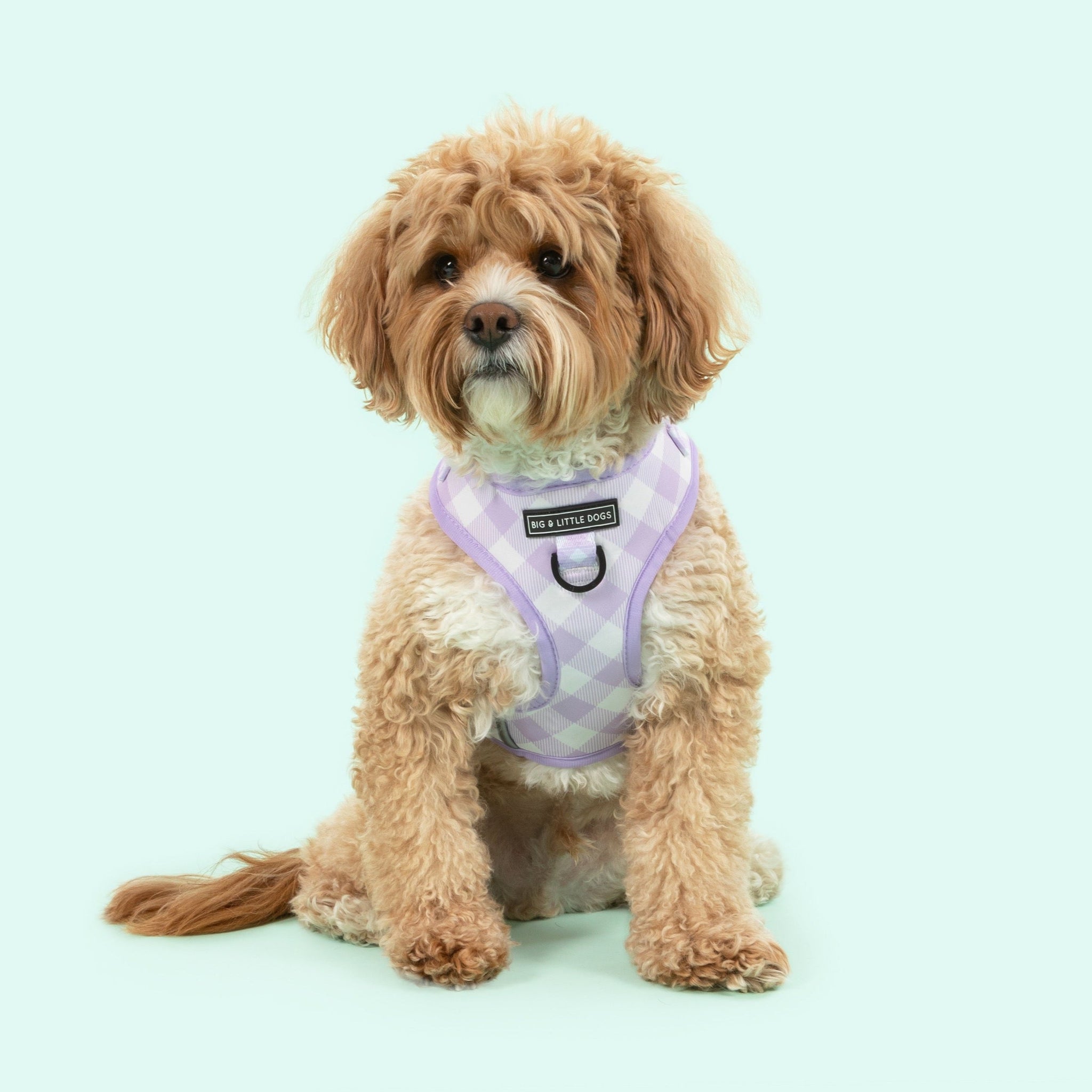 Adjustable Dog Harness Purple Berry Gingham