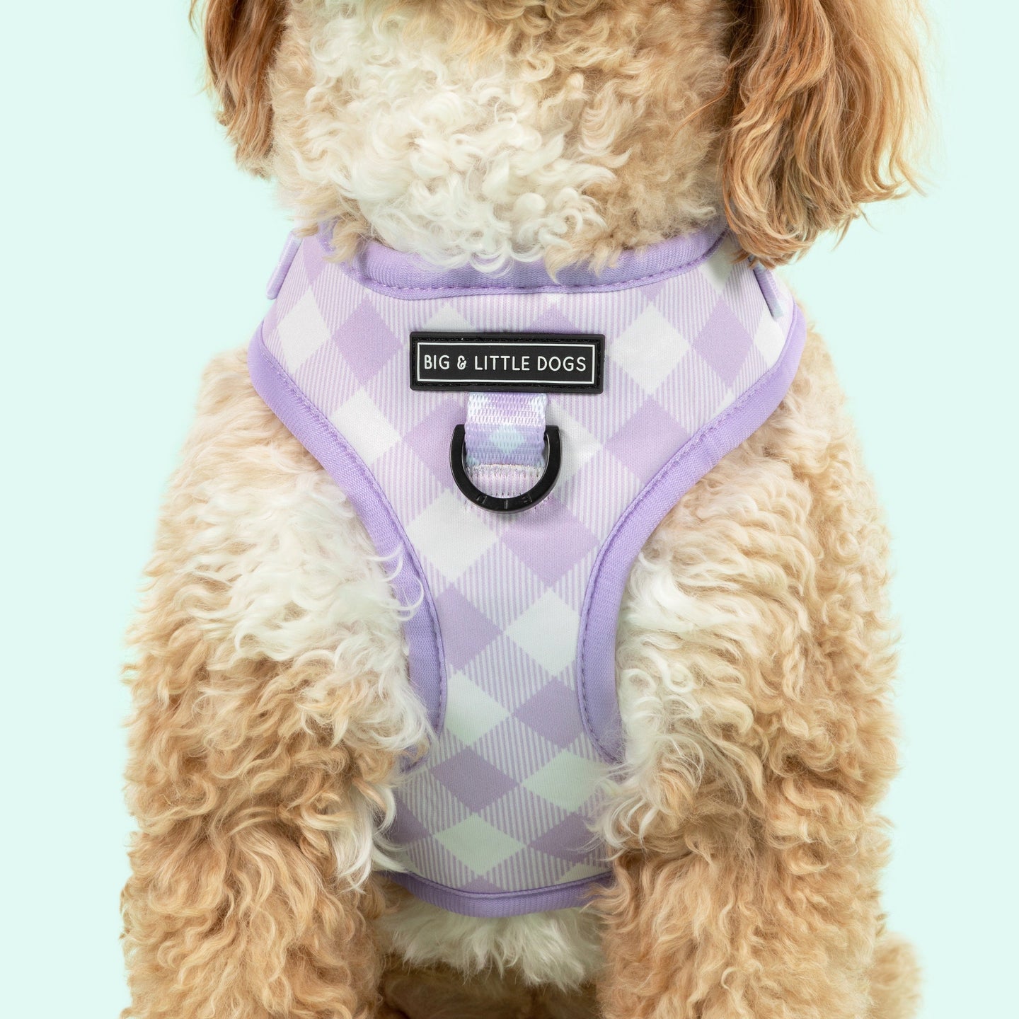 Adjustable Dog Harness Purple Berry Gingha